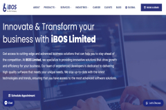 Enhancing Web Design & User Experience for Color Style BD